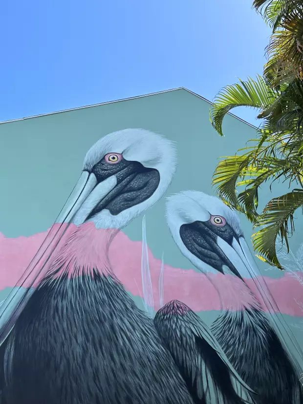 Milmurs production, Street-art, Martinique, Montréal, Partenaires