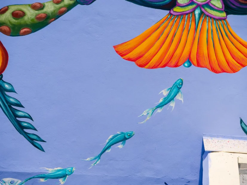 Danaé Brissonnet - festival fort de france 2019