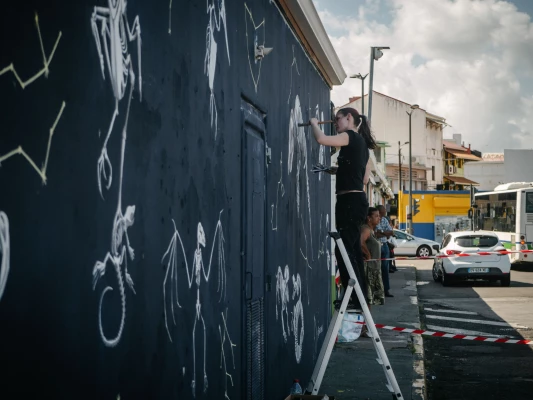 Milmurs production, Street-art, Martinique, Montréal, Delphyne V - festival fort de france 2019